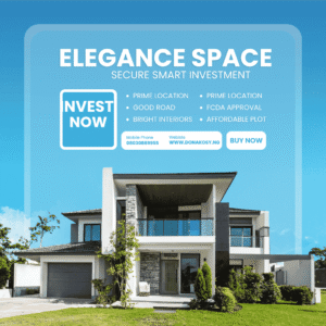 Flipping land in Abuja for profit