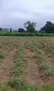 Central Area Abuja land