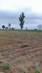 Flipping land in Abuja for profit