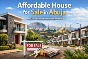 Government Allocated Land Abuja