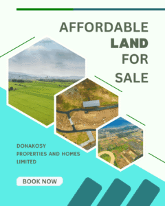 Top real estate companies in Abuja